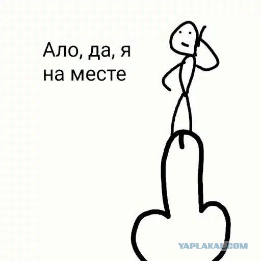 Прикольные и просто красивые картинки 16.02.2024