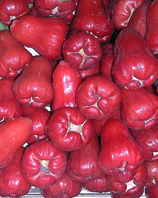 Мое хобби - экзотические фрукты