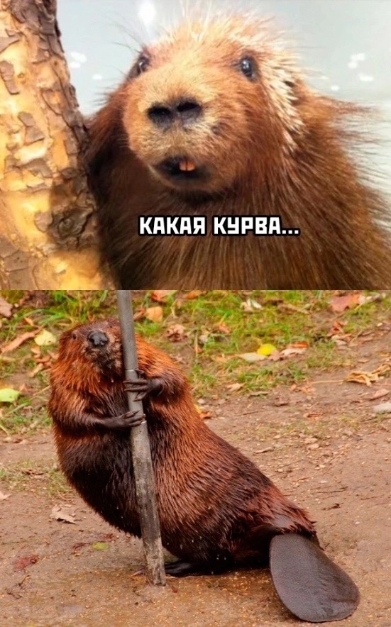 Так себе картинки 10.07.24