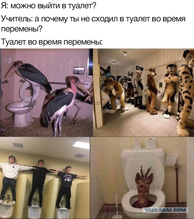 Четвероклассник обмочился прямо в классе в подмосковном Одинцове — учительница не отпускала его в туалет