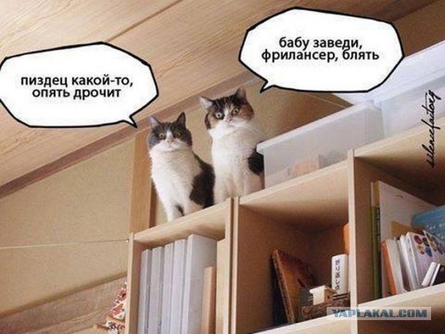 Пока спит коллега Кент