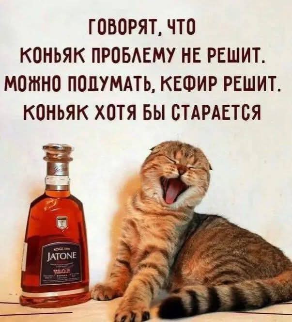 Так себе картинки 24.08.25
