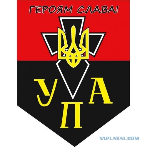 Навроцкий наложил вето на закон о пособиях для безработных украинцев
