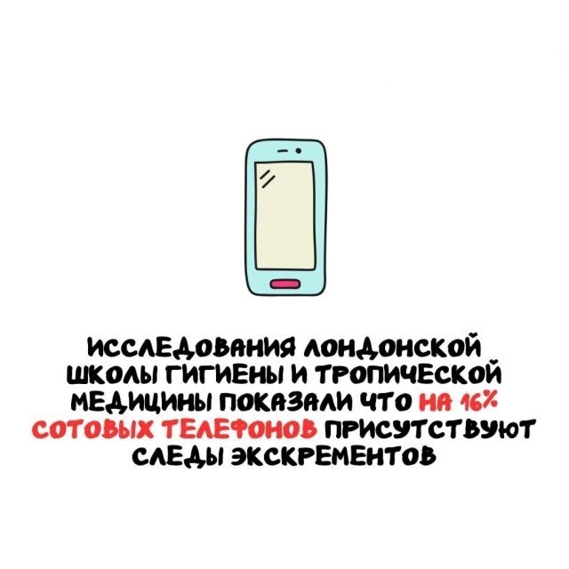 Подборка интересных фактов на все случаи жизни 26.11.25