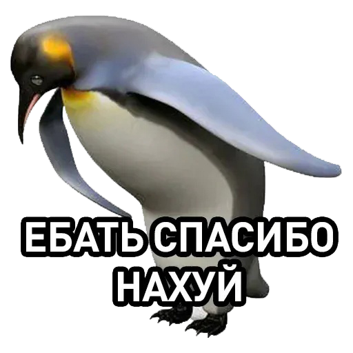 В 2026 году в России подорожает почти всё