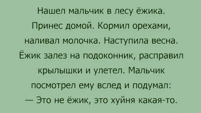 Так себе картинки 03.04.26