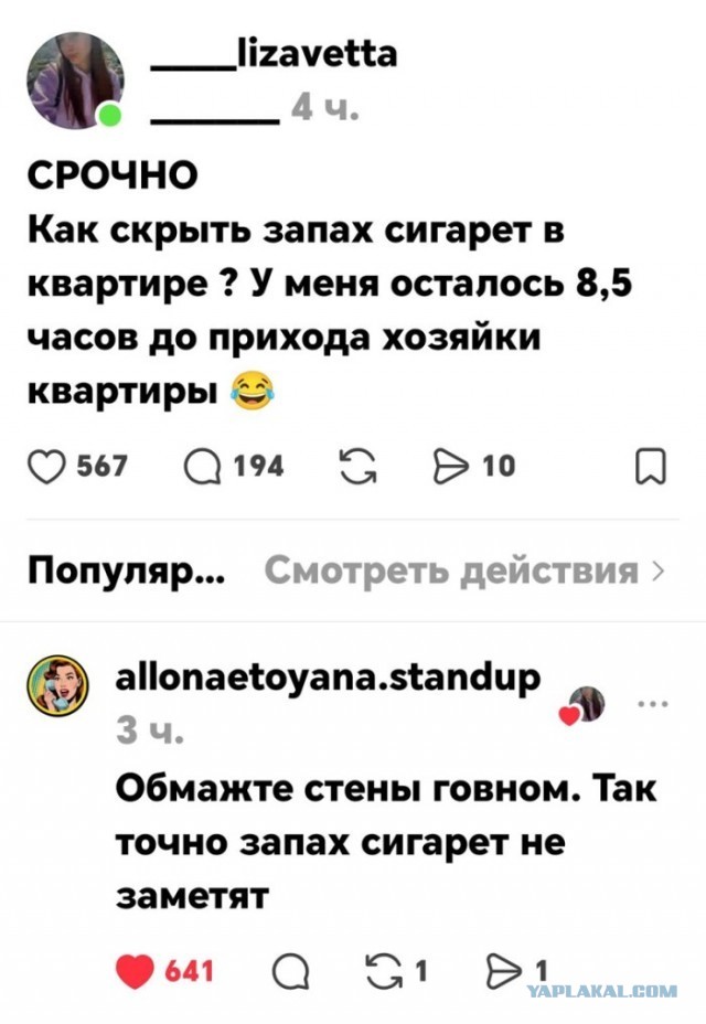 Картинки для деградации 215 (разной степени свежести)