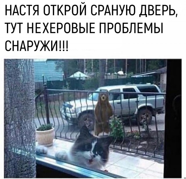 Картиночки, баянчики 06 июня