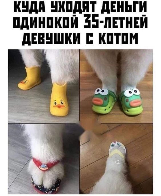 Картинки для деградации 240 (разной степени свежести)
