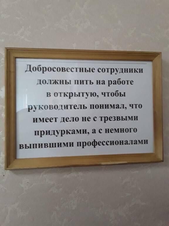 В Екатеринбурге готовы заплатить 530 тысяч рублей за снятие бумажек с автомобильных номеров