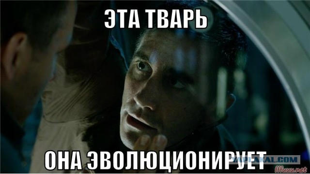 А я думал их больше нет