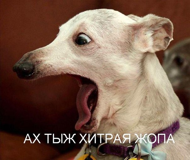 Профилактика ненужных желаний у жены