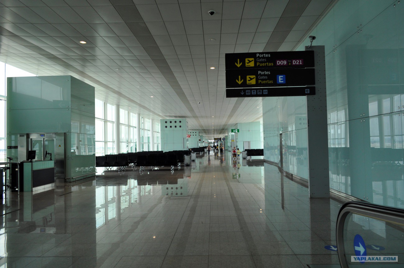 Зеленые коридоры в аэропорту