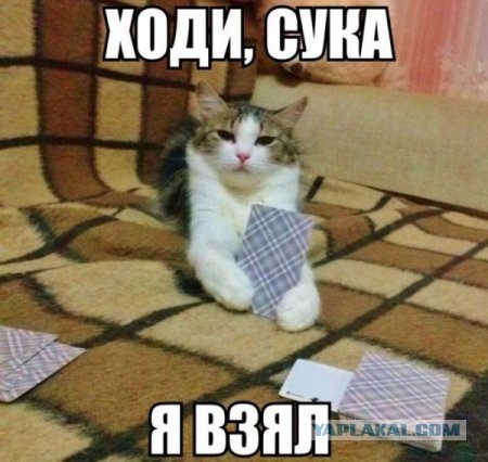 Комментарии и картинки из соц. сетей
