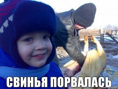Марш пленных в Донецке 24.08.2014