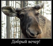 Плюсомет со шпалометом