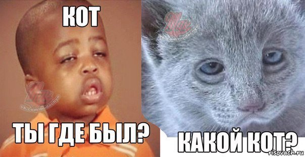 Свежие картинки из сети