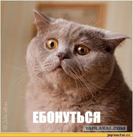 Как украсить пол