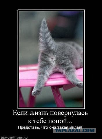 Давно демотиваторов не было