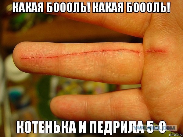 Мстительный кот