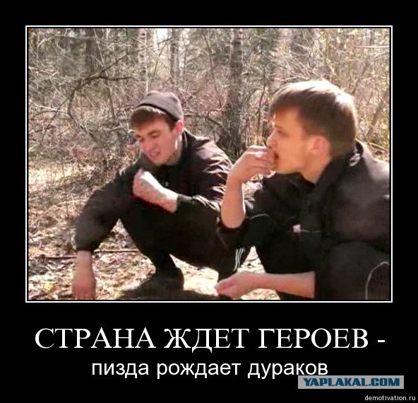 Неприспособленный зять