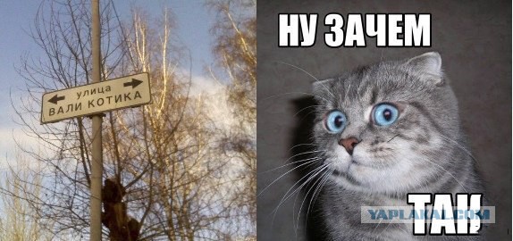 Картинки из сети на вторую часть пятницы