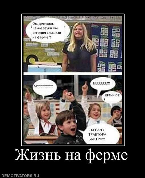 Демотиваторы