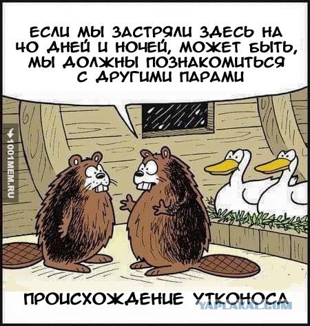 Прикольные картинки и демотиваторы