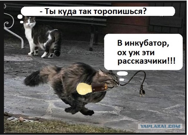 Кума, ну ты даешь…
