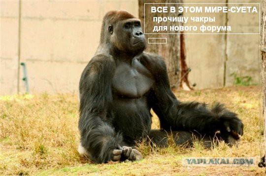 Разговор продолжается