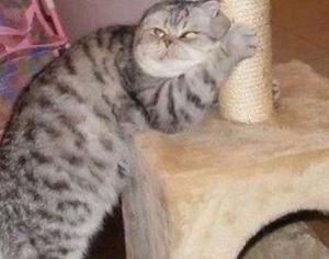 Мне сегодня чуть не наваляли