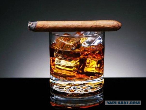 Подборка картинок