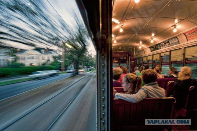 50 на 50: даже не верится, что это части одной фотографии