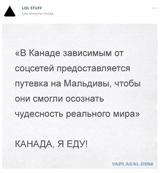 Смешные комментарии из социальных сетей 22.04.2016.