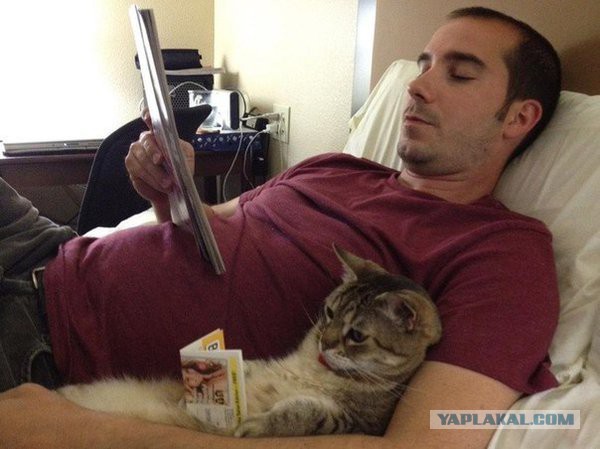 Подборка интересных и веселых картинок