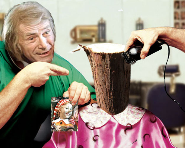 Фотожаба: в парикмахерской