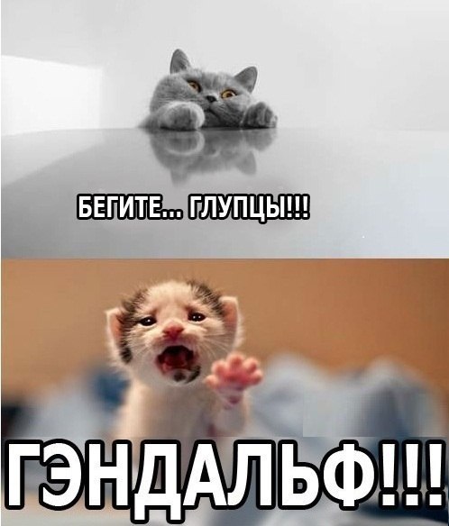 Мохнатые беспредельщики