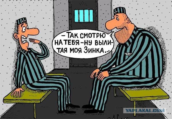 Подборка интересных и смешных картинок