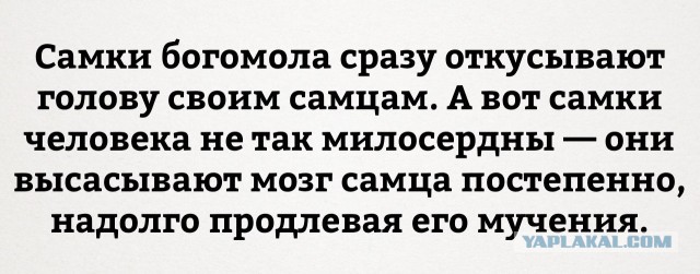 Парень застукал свою девушку за изменой