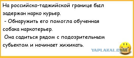 Наркоман, штоле? Тогда заходи
