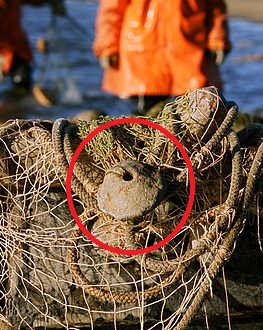 Один день рыбака в п.Тазовский
