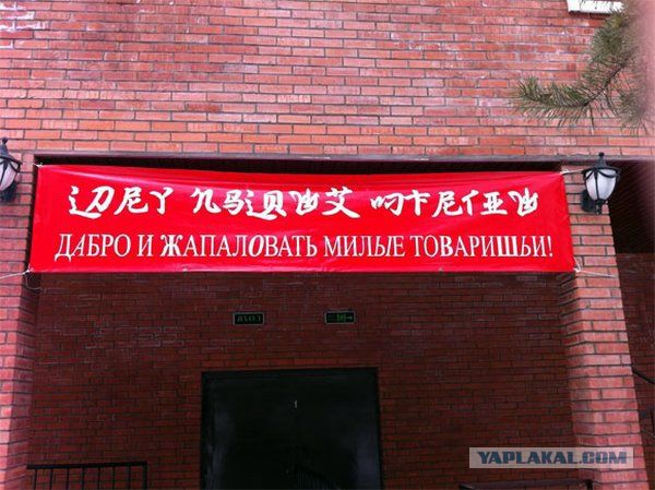 Из Китая с приветом!