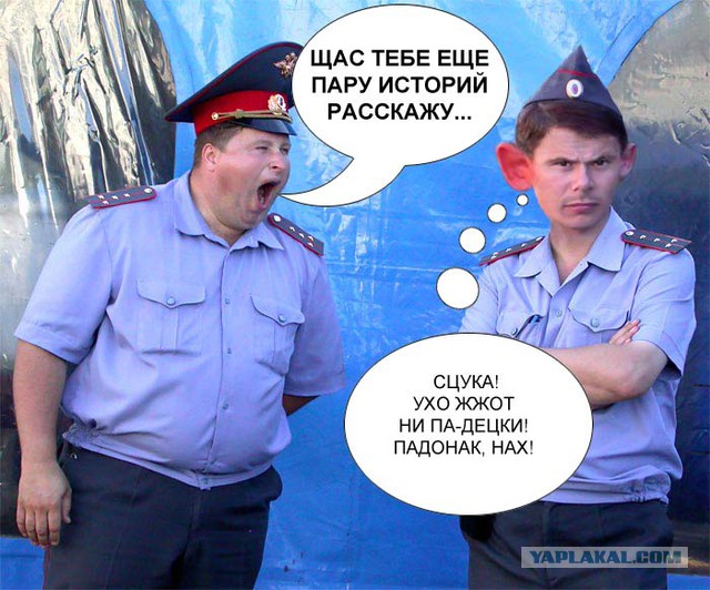 жена честного гаишника