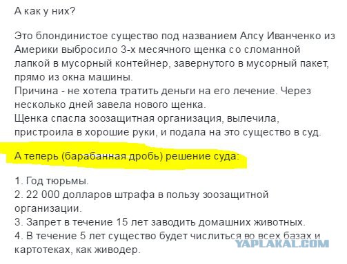 Смешные комментарии из социальных сетей 11.11.2016