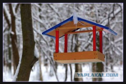 Мастерим скворечник
