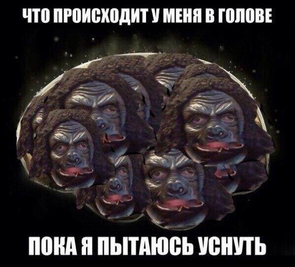 Приколы в стиле деградация