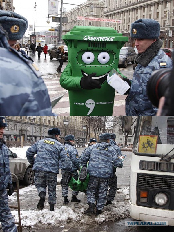 Картинок всяких