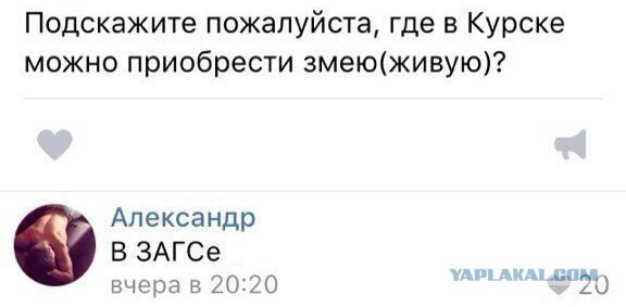 Ужасы и приколы из соцсетей 18+