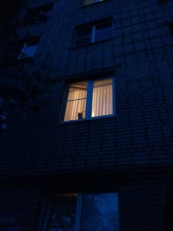 Подборка интересных и веселых картинок