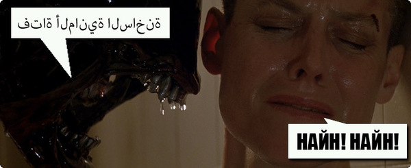 Куда делись беженцы?